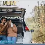 Especialista orienta como proteger seu veículo no inverno