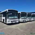Iveco Bus entrega 77 ônibus e inicia operação a gás na Argentina